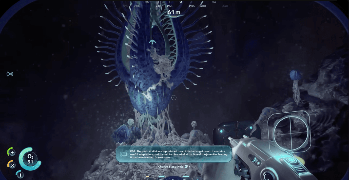 Angel Comb infestation area with blue infected roots in Subnautica 2